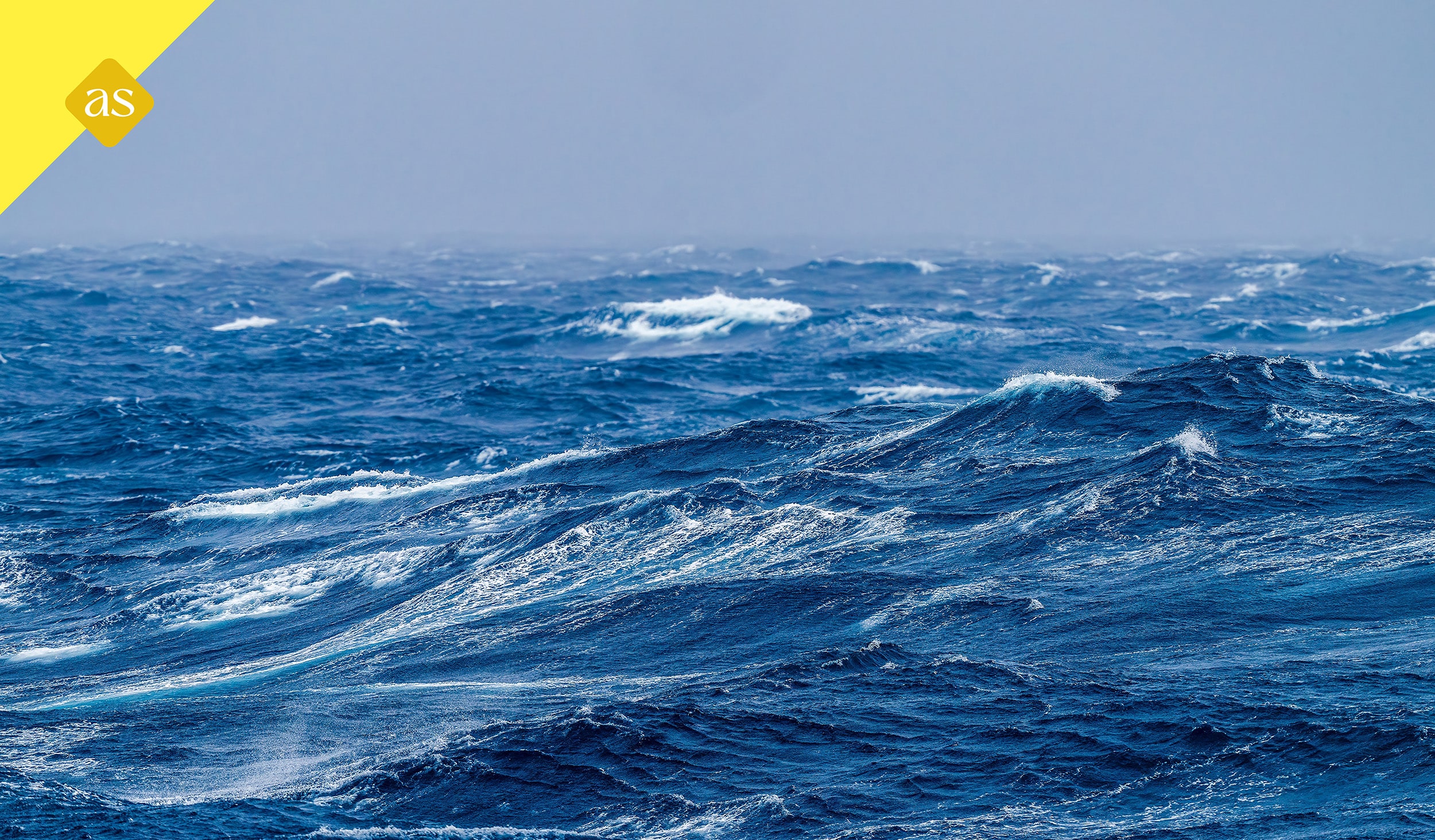 Een strategisch beleidsplan als stevige fundering voor rust, richting en resultaat