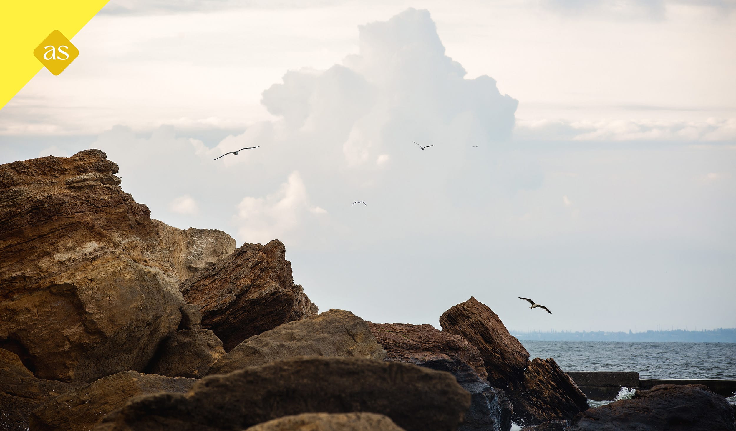Echte verandering ontstaat vanbinnen | Andrea Stolk